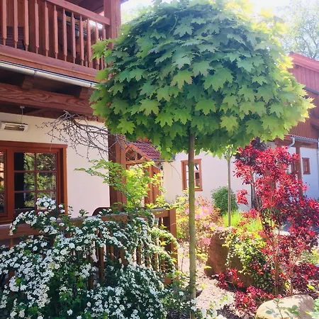 Chalets-zum-ilsetal-carl-lambrecht-chalet-nr-19 別荘 *