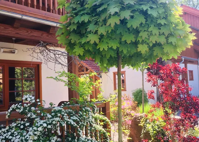 Chalets-zum-ilsetal-carl-lambrecht-chalet-nr-19 別荘 *